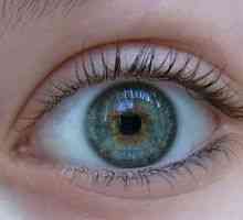 Акантамеба кератит око: лечение, симптоми, диагностика