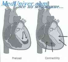 Сърдечна регулиране изход. механизъм Старлинг