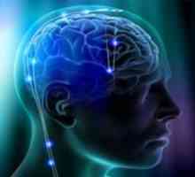Intermeningeal арахноидните система на мозъка