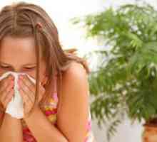 Бактериите причина за заболявания на дихателните пътища