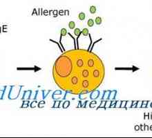 Разговор (анамнеза) за алергии при детето. Идентификация на алергена