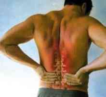 Болки в гърба с болка в областта на рамото