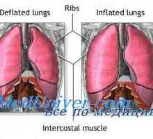 Капацитетът на дихателните мембраната. Дифузията капацитет за кислород