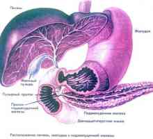 Хепатомегалия, стеатоза панкреатит и панкреаса и черния дроб