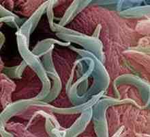 Worms в едно дете на 2 години, симптоми и лечение на червеи при децата 2 години