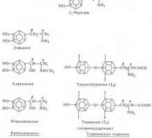 Хормоните - амино киселинни производни