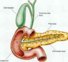 Холецистит, холецистит, панкреатит, пиелонефрит и задстомашната жлеза