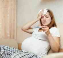 Инфекции по време на бременността: лечение, симптоми, признаци, причини