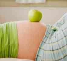 Промяната на гениталиите и млечните жлези на бременна