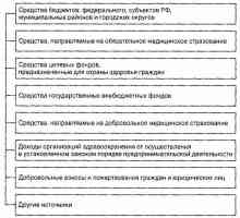 Икономическите основи на здравето в Руската федерация. Източници на финансиране на здравеопазването
