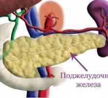 Функцията екзокринен на панкреаса