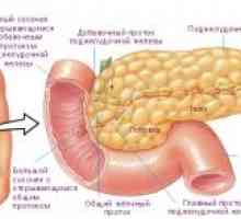 Ендокринната тумор на панкреаса