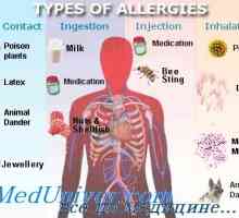 Епидемиология (разпространението) алергични заболявания атопия