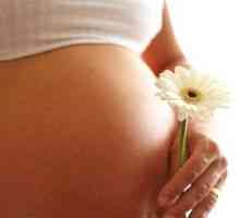 Как да се подготвим за бременност