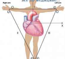 Vectorcardiogram. Електрическа ос на сърцето