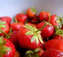 Ягоди в панкреатит, възможно ли е да има ягоди за панкреаса?