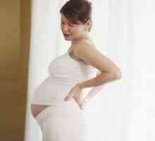 Рубелла по време на бременност, по време на бременност: Симптоми, признаци, лечение, причини,…