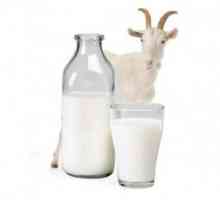 Лечение на гастрит с козе мляко