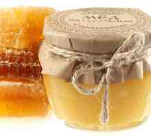 Лечение гастродуоденит мед и прополис