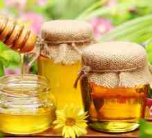 Лечение на язва на дванадесетопръстника с мед и прополис