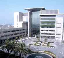Лечение в Обединени арабски емирства американската болница в Дубай