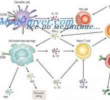 Лиганди на рецептора на ефектори на вродения имунитет. Пептидогликан липопептидите