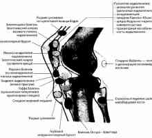 Радиационна и инструментална диагностика на колянната става патология