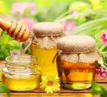 Мед: полезни свойства, вреда, как да се проверяват натурален пчелен мед, видове мед