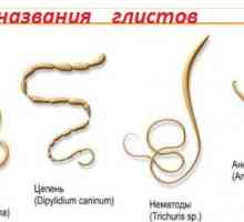 Медицинско научно наименование на червеи (хелминти), както ги наричат ​​в хората?