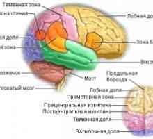 Метастатични мозъчни тумори