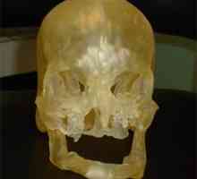 Моделът за лицето трансплантация може да бъде отпечатан на 3D-принтер