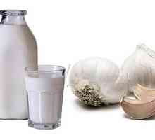 Мляко с чесън против глисти при деца и възрастни, как да се пие?