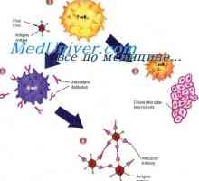 Mud88 дефицитни състояние. имуномодулатори