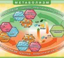 Нарушения на метаболизма на мастни киселини и глицерол