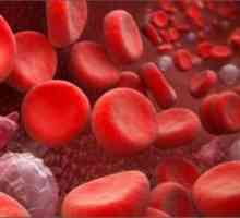 Нарушения в кръвосъсирването: общи разпоредби, симптоми, причини