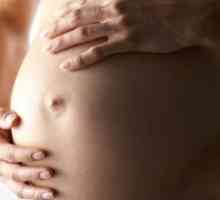 Недостатъчност Valve остави сърцето при бременни жени