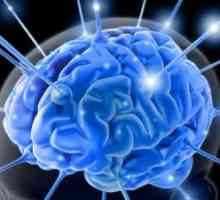 Глиални система на мозъка