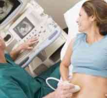 Оценка и управление на извънбелодробна произход на дихателна недостатъчност по време на бременност