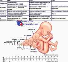Оценката на аборта на раждането. Класификация на забавяне растежа на плода