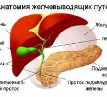 Тумори на жлъчния мехур и жлъчните пътища: симптоми, причини, лечение, симптоми