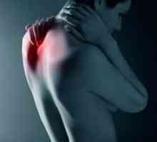 Остеохондроза на шийните и гръбнака на гръдния кош