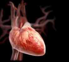 Патология на сърдечни клапи по време на бременност