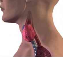 Основно хипотиреоидизъм е функция на щитовидната жлеза: причините, лечение, симптоми, признаци