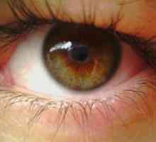 Пигментни дегенерация на лечение на очите на ретината