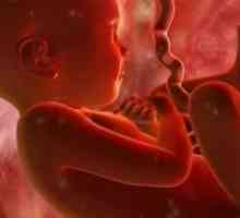 Фетална плацентарна недостатъчност по време на бременност: причини, лечение, профилактика и…