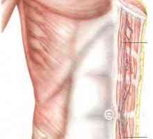 Пластмасови отстраняване на меките тъкани на дефекта гръдната стена. Rectus абдоминис и други