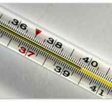 Диария и температура 39-40 с повръщане при дете и един възрастен