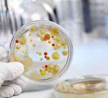 Засяване на фекални бактерии свръхрастеж