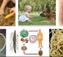 Причините за червеи (хелминти хелминти) в дете и възрастен