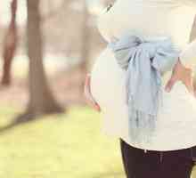 Предотвратяване на хемороиди при бременни жени